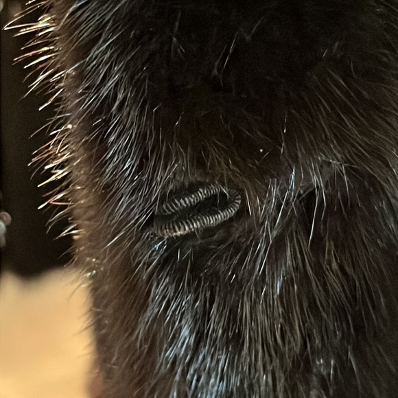 Mink coat full length long sleeve furs by Blum Brooklyn - Picture 5 of 11